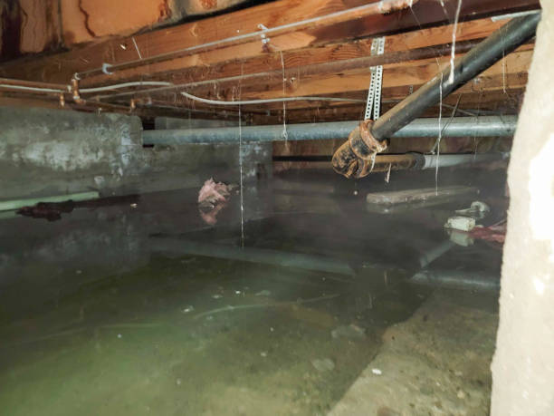 Best Residential water damage restoration  in Santa Barbara, CA