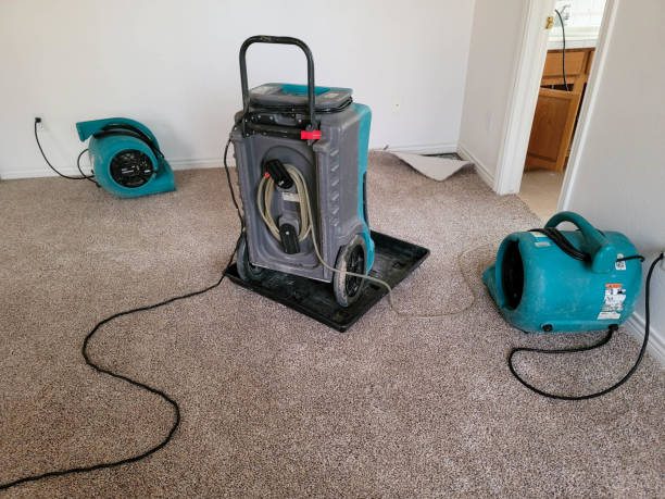 Best Water damage contractors near me  in Santa Barbara, CA