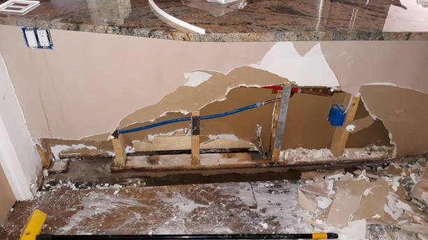 Best Mold removal after water damage  in Santa Barbara, CA
