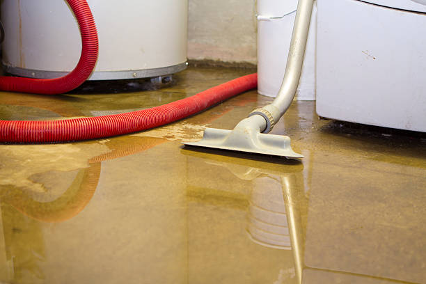 Best Basement water damage restoration  in Santa Barbara, CA