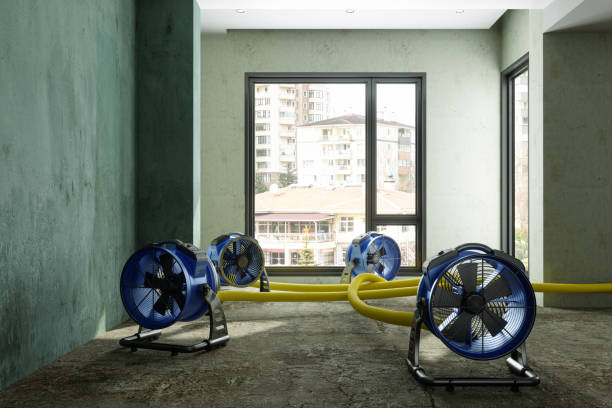  Santa Barbara, CA Water damage restoration Pros